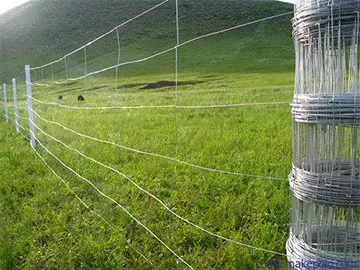 Field fence