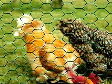 PVC coated hexagonal wire netting