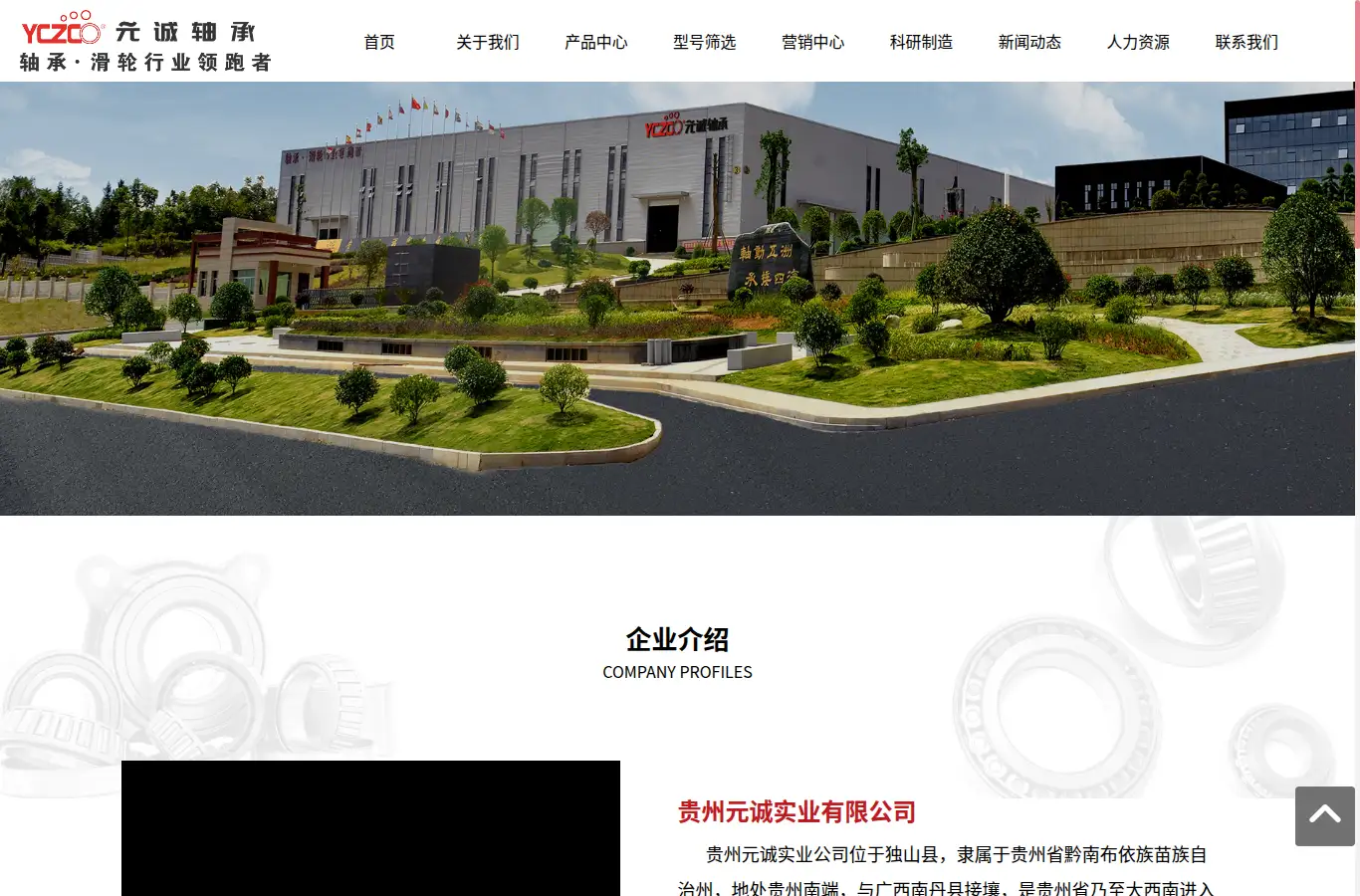 gzyco.com homepage screenshot