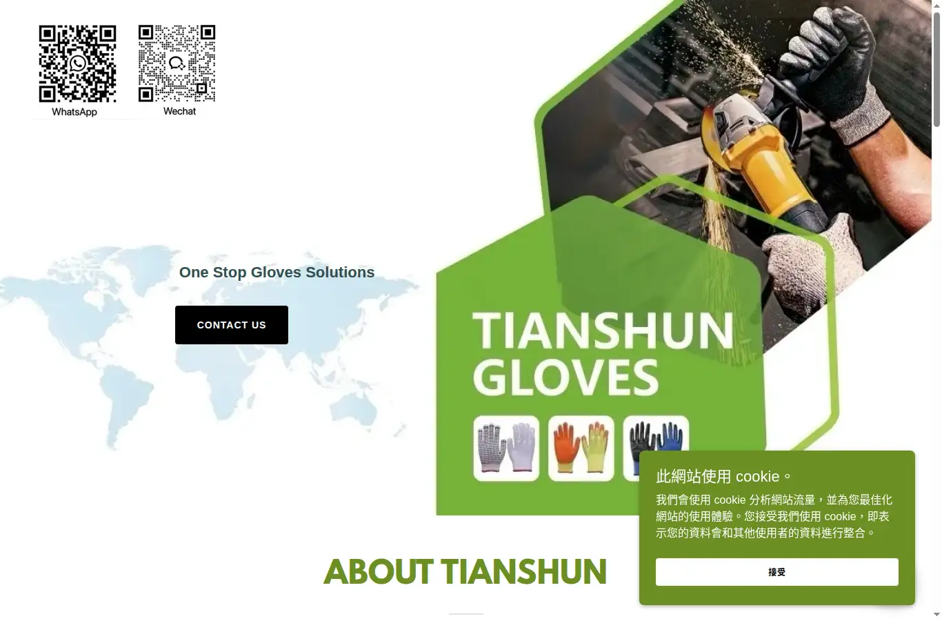 tianshunchina.com homepage screenshot