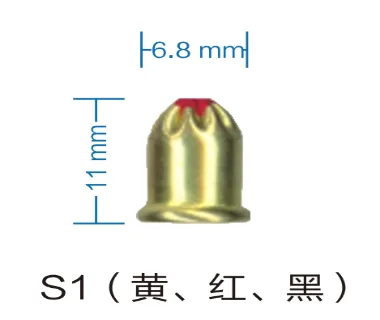 S1