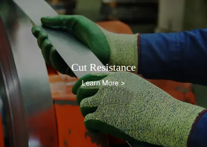 Cut Resistance