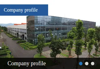 Company profile