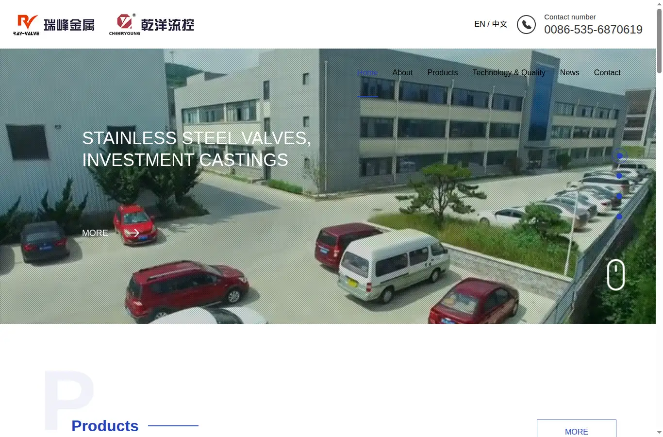 rayvalve.com homepage screenshot