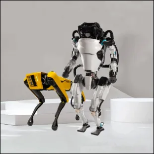 Product photo from the company website