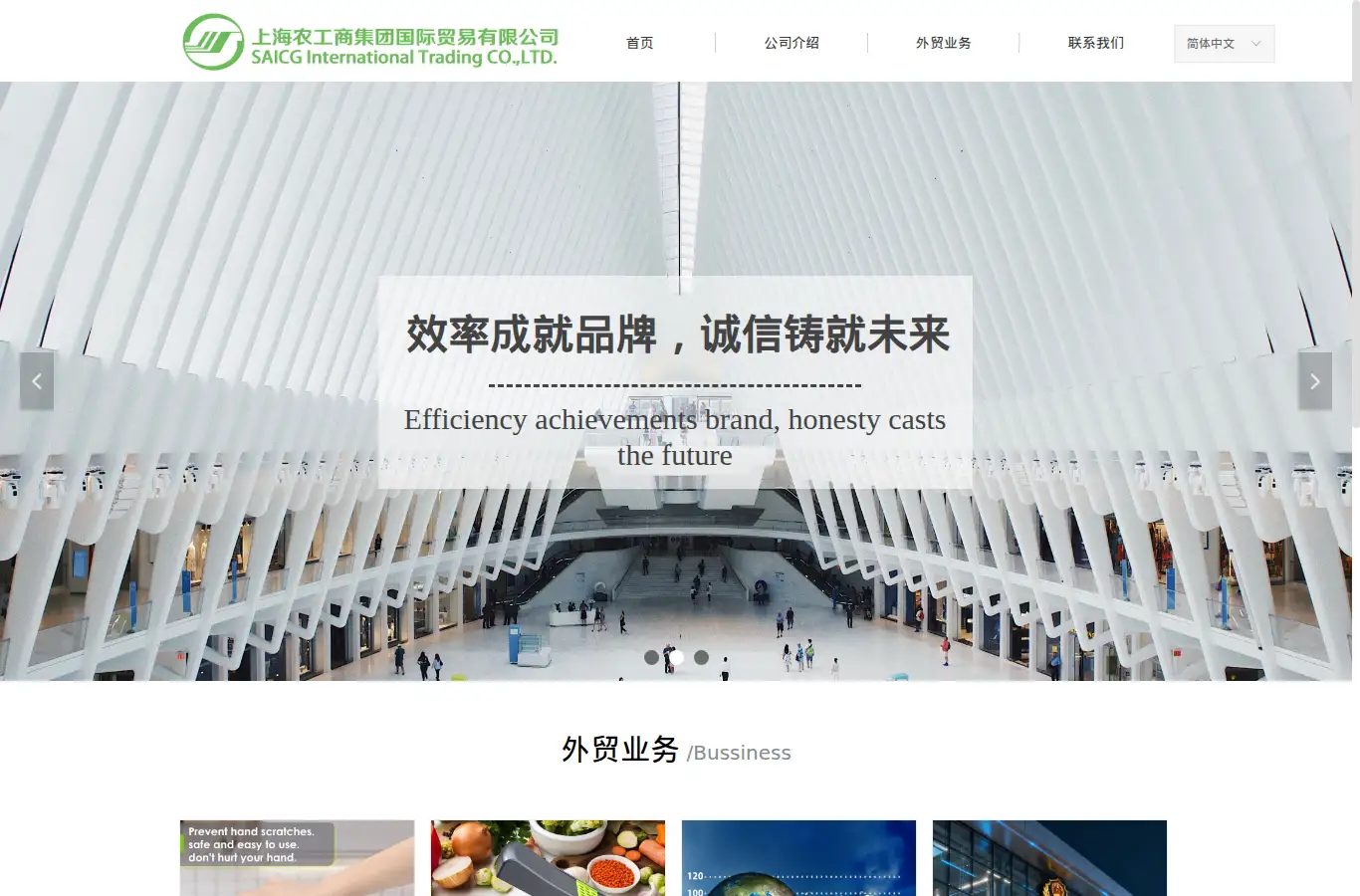 sngsit.com homepage screenshot