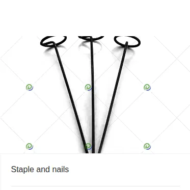 Staple and nails