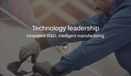 Technology leadership
