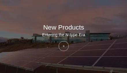 New Products