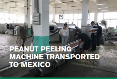 Peanut Peeling Machine Transported To Mexico