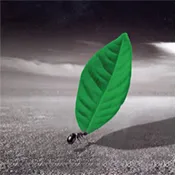 Product photo from the company website