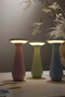 Product photo from the company website