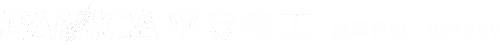 PAMICA ELECTRIC MATERIAL (HUBEI) CO., LTD. logo