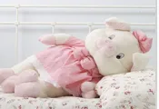 Product photo from the company website