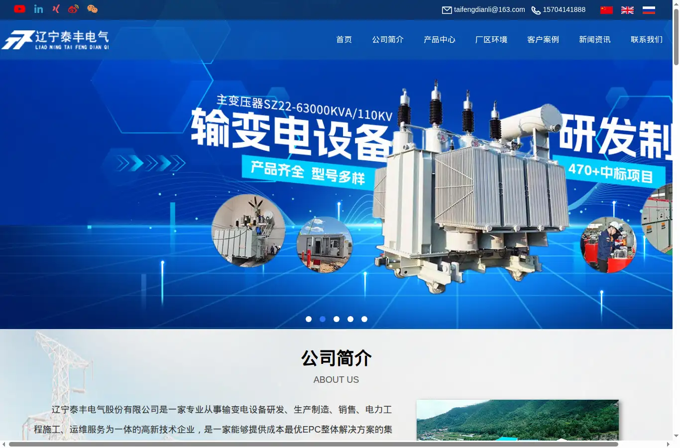taifengelectric.com homepage screenshot