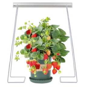 Product photo from the company website
