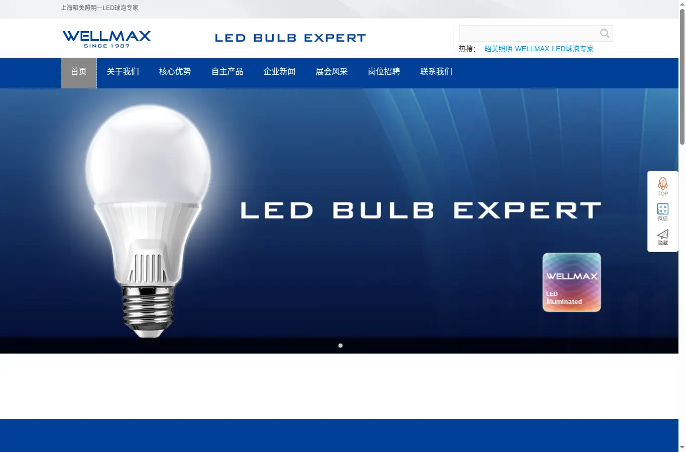 wellmax.cn homepage screenshot