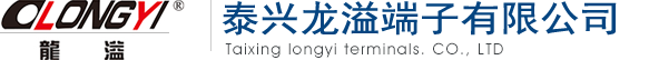 Taixing Longyi Terminals Co., Ltd. logo