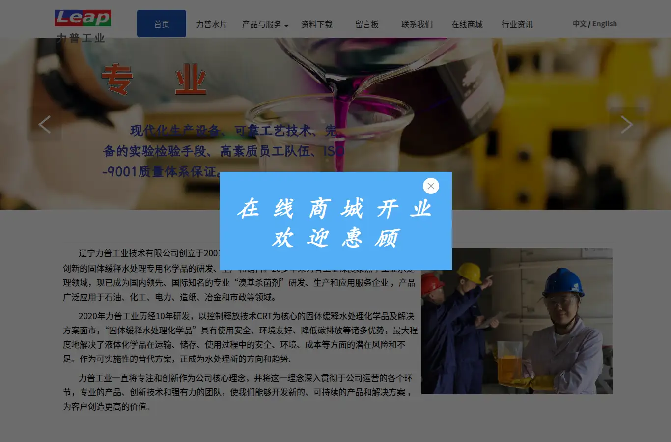 lnleap.com homepage screenshot