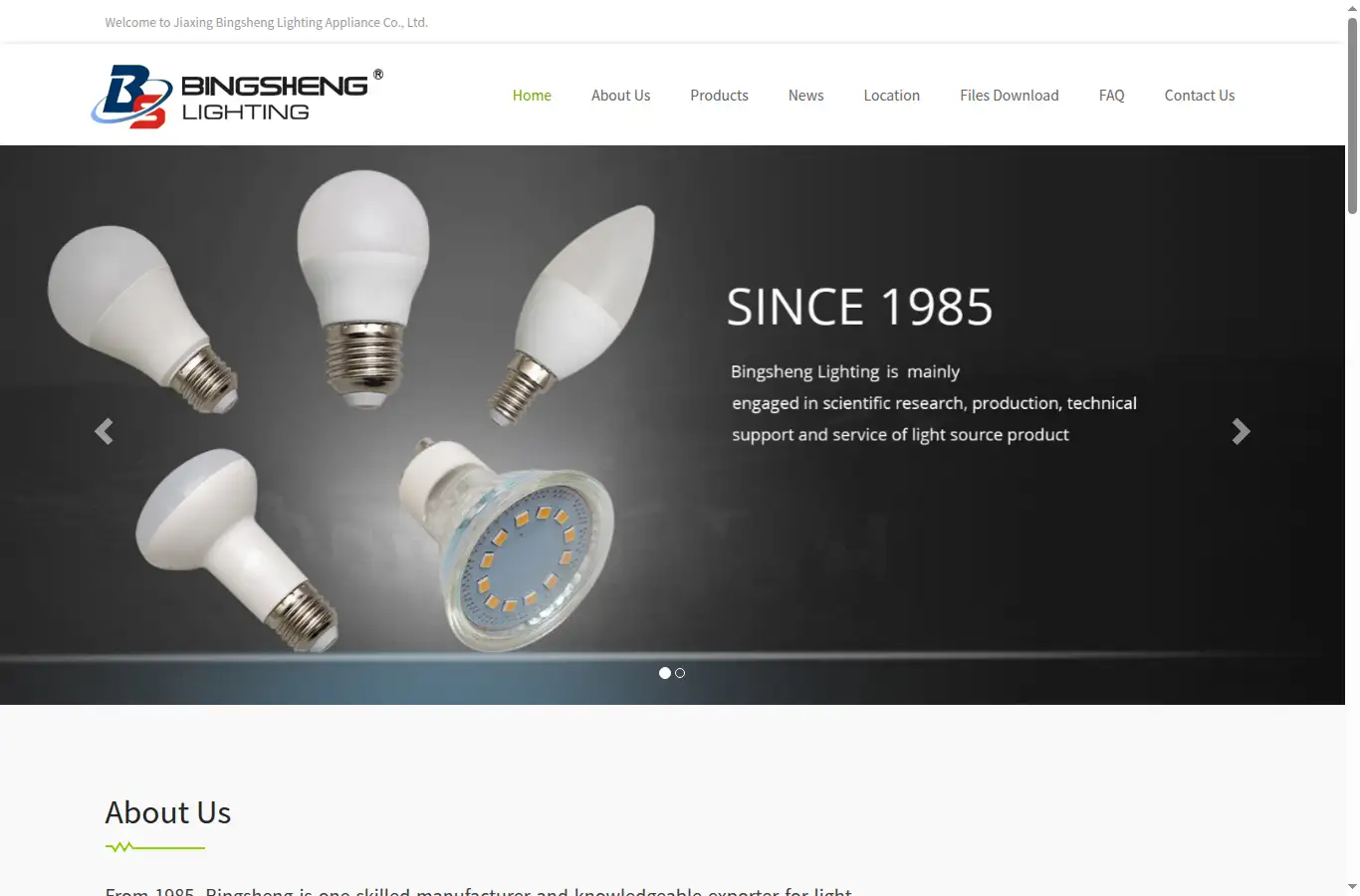 bingsheng-lighting.com homepage screenshot
