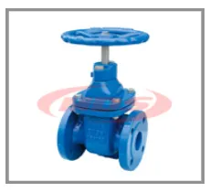 valve