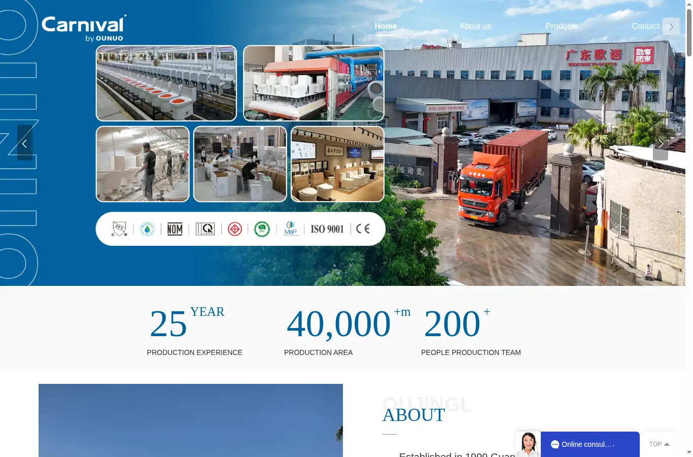 cn-carnival.com homepage screenshot