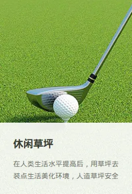 Product photo from the company website