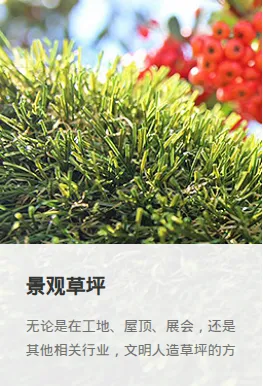 Product photo from the company website