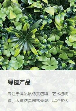 Product photo from the company website