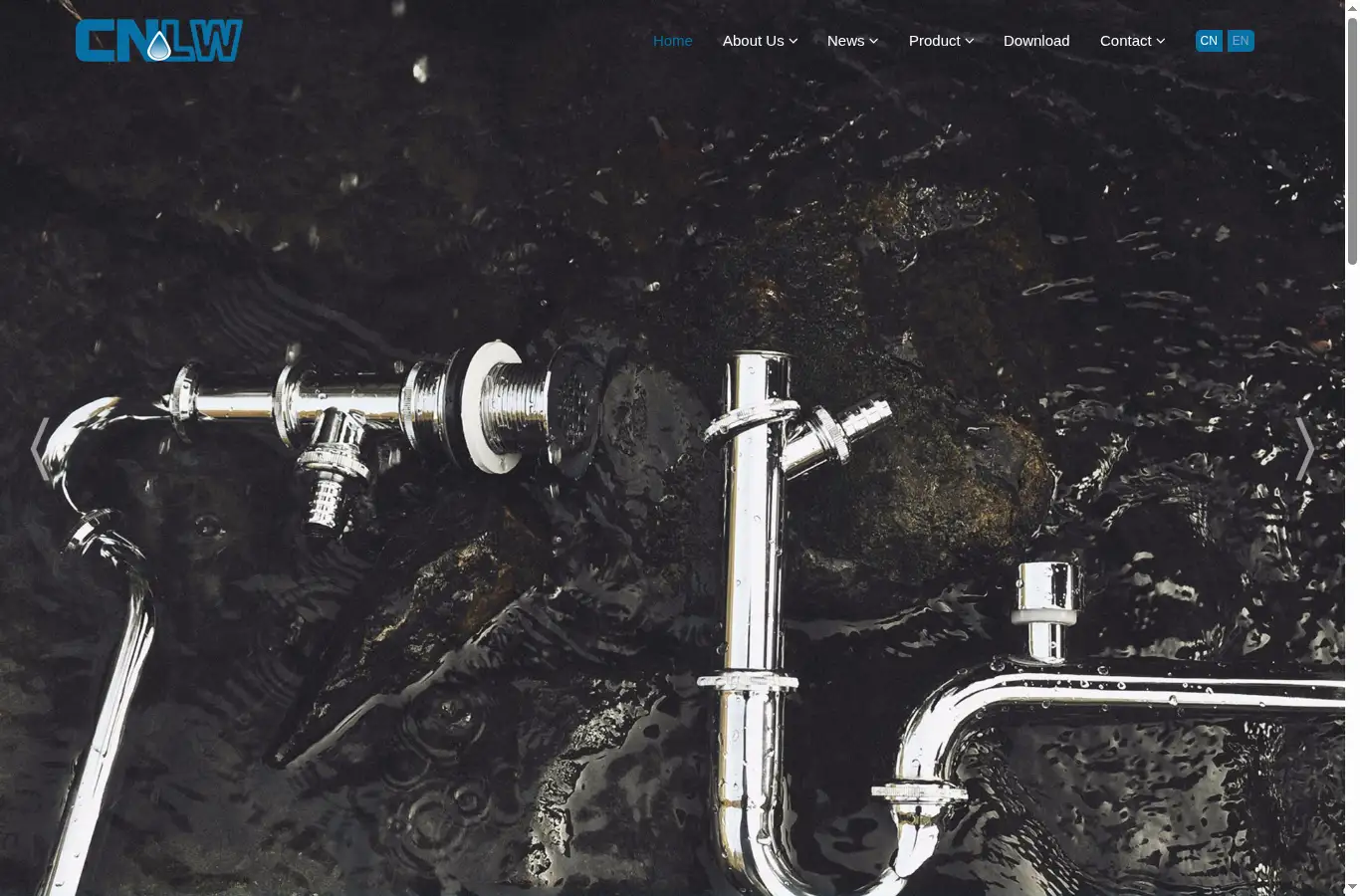 cnlongwang.com homepage screenshot