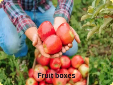 Fruit boxes