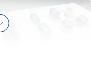 6.png