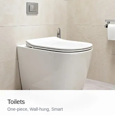 Ceramic Toilet
