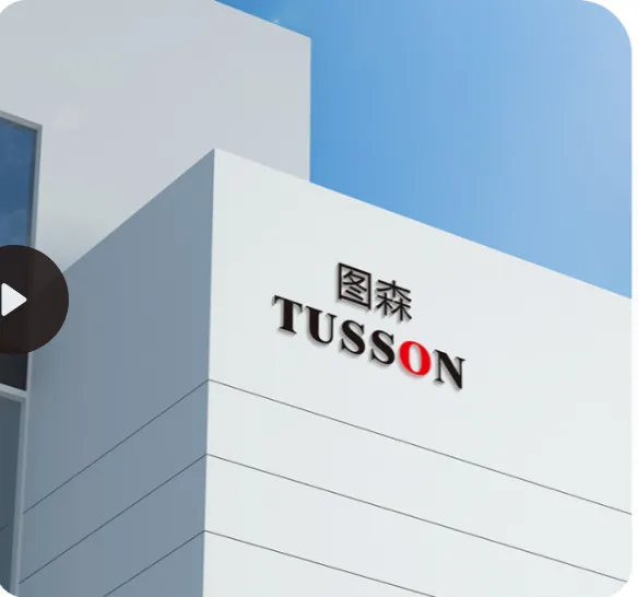 Foshan Shunde Tusson Sanitary Ware Co., Ltd.