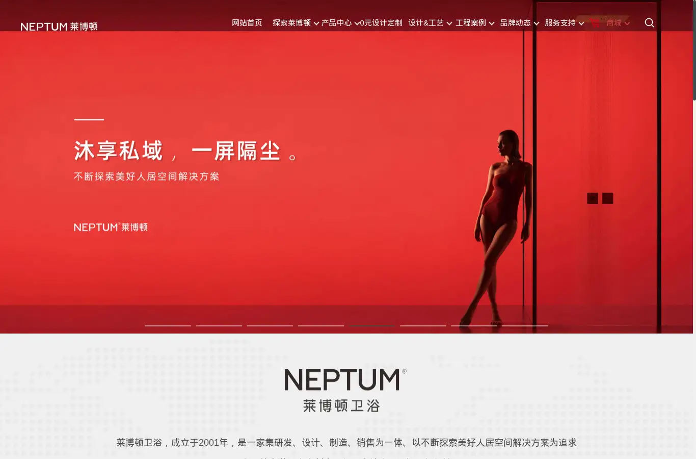 neptum.cn homepage screenshot