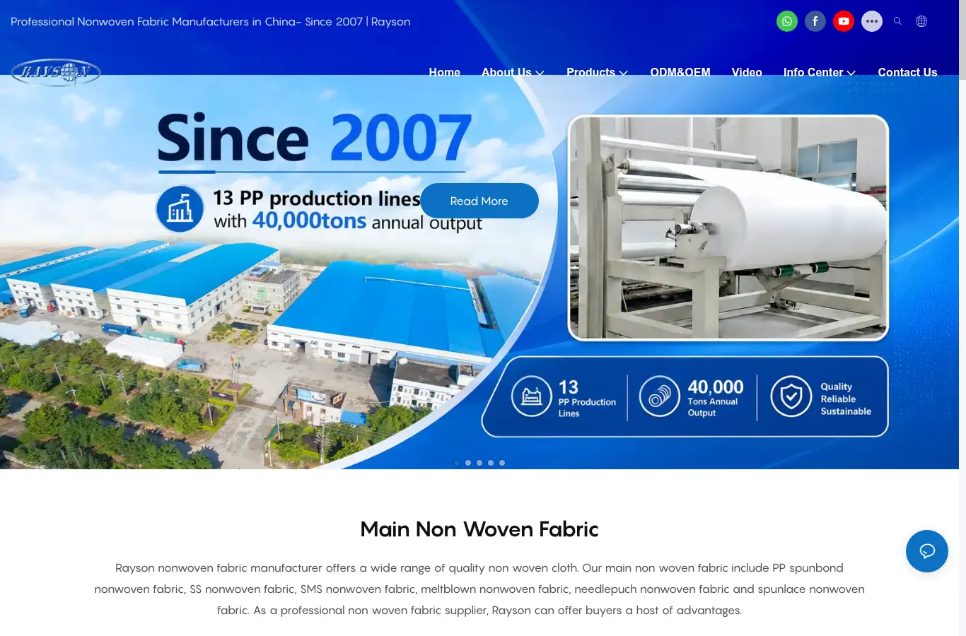 raysonchina.com homepage screenshot