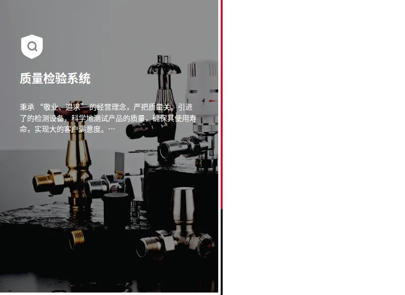Product photo from the company website