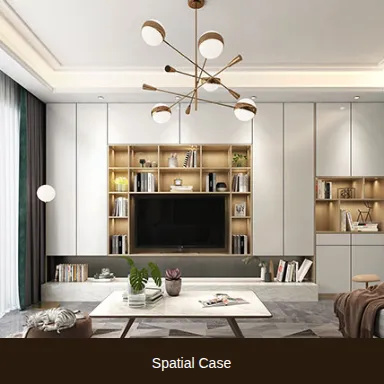 Spatial Case