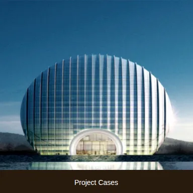 Project Cases