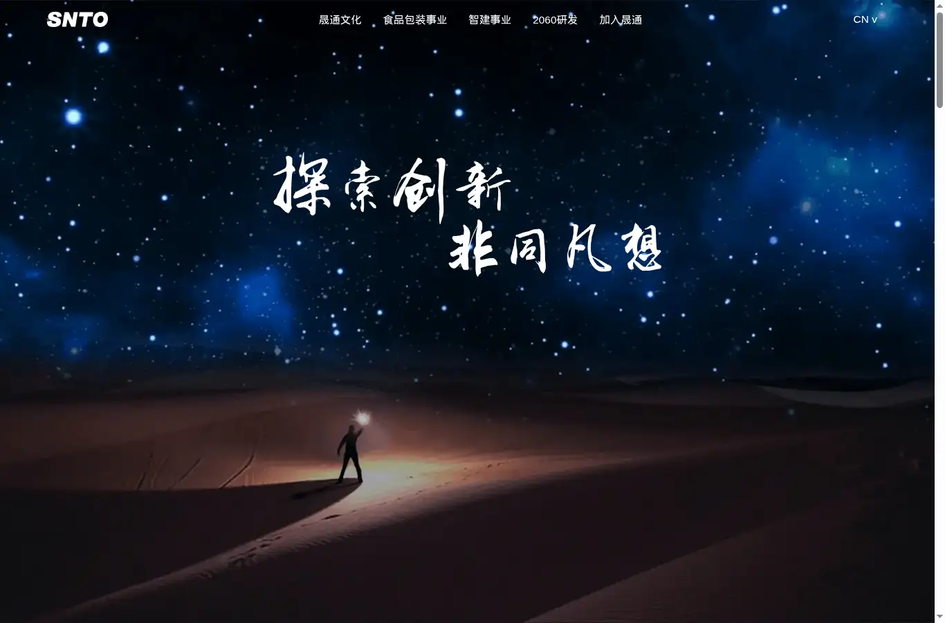 chinasnto.com homepage screenshot